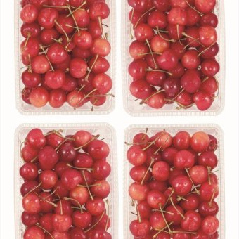 送料無料 北海道産地直送  さくらんぼ佐藤錦約1.2kg 秀 ※ご注文後約7～10日前後での発送となります。沖縄・離島へは別途配送料が発生いたします お取り寄せグルメ スイーツ