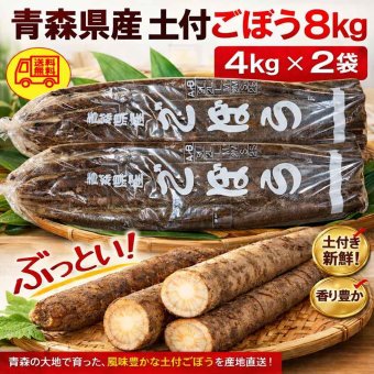 青森県産 土付き ごぼう 2L～3L 8kg