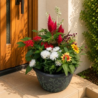 季節の寄せ植え リーフ柄  軽量プラスチック鉢 内径24cm （グリーン ・4色展開）６～7種類のお花で構成 ラッピング不可 ギフトメッセージOK
