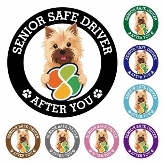 カーサイン 高齢者マーク SENIOR SAFE DRIVER ノーリッチテリア ステッカー シール 直径13cm 肉球 日本製 車