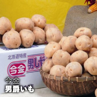 【出荷時期10/1頃～2月末まで(受付2/18終了)】北海道 今金産 男爵いもLサイズ(5kg,10kg）（送料無料 プレゼント グルメ 贈り物  御祝 内祝い 景品 賞品 ご褒美 誕生日 出産祝い 結婚 上司 男 女 友達 新築 引越 送別会 定年 退職祝い 還暦  産地直送 じゃがいも ジャガイモ 男爵イモ ギフト お中元 暑中見舞い）