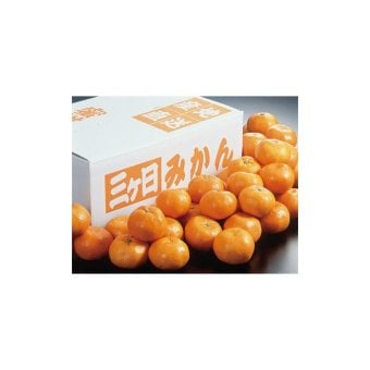 送料無料 お歳暮 静岡県産 三ケ日みかん  ※11/2以降の出荷予定となります。北海道・沖縄・離島は配達不可 全国送料無料 御歳暮 早割 お歳暮2026 御挨拶 お取り寄せ グルメ スイーツ