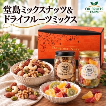 お歳暮 ギフト ナッツ お菓子 親 変わり種 おしゃれ 年配 送料無料 高級 健康食品 御中元 プレゼント ナッツ ギフト おつまみ テレビで話題！ ギフト プレゼント スイーツ 無塩のプレミアム堂島7種類ミックスナッツとドライフルーツソムリエが厳選した6種類のドライフルーツミックス 北新地・百貨店でお土産に使われています。【堂島ナッツ＆フルーツ中瓶セット】