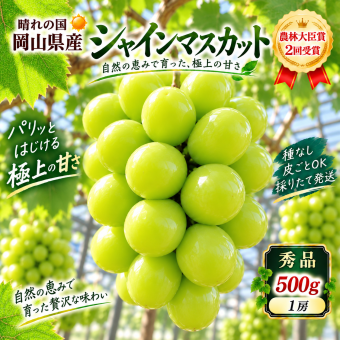 【予約】岡山県産 シャインマスカット 1房 贈答用秀品 国産 フルーツ