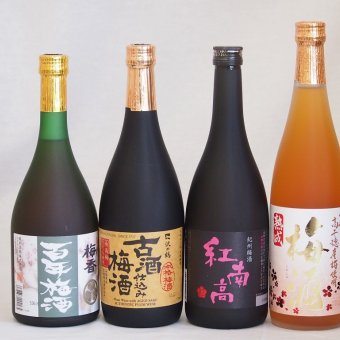 梅酒4本セット(古酒仕込み梅酒 紅南高梅酒20度(和歌山) 高千穂産梅使用熟成梅酒 梅香 百年梅酒(茨城)) 720ml×4本