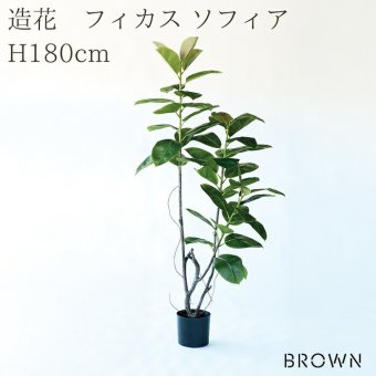観葉植物 造花 フィカス ソフィア BROWN 全高約180cm 大型 フェイクグリーン 高級 本物そっくり リアル おしゃれ ナチュラル インテリア 人工観葉植物 アーティフィシャルグリーン オフィス 店舗 ホテル 開店祝い 室内 リビング 玄関 風水 ゴムの木