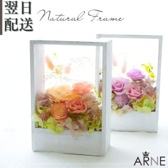 プリザーブドフラワーアレンジメント 【Natural Frame】　 窓枠のようなフレームのプリザーブドフラワーです。やさしい色の組み合わせで自然の中にある色彩の美しさを楽しんで頂けます。プリザーブドフラワー 誕生日 花 プレゼント お祝い グリーン 和 ギフト メッセージ 送料無料  プレゼント おしゃれ リビング インテリア 枯れない花 土日発送 母の日 敬老の日 お中元 お歳暮