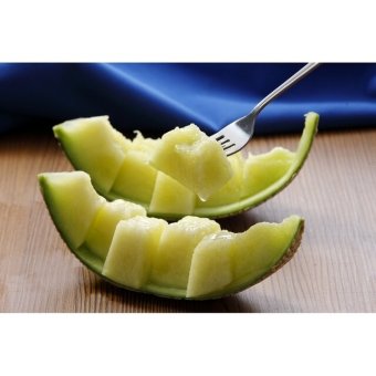 静岡産マスクメロン(1玉)  ／メロン フルーツ・果物 食品 敬老の日 プレゼント ギフト お彼岸 お供え 秋 送料無料 取り寄せ グルメ 産地直送 センター スイーツ お菓子 高級 ご飯 食品 飲料 おかず つまみ おやつ