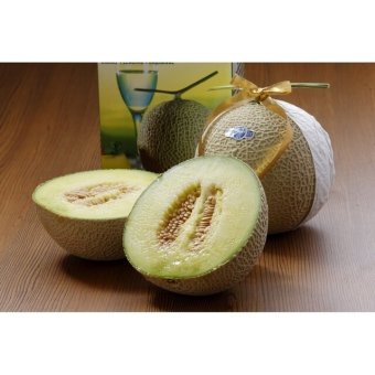 静岡産マスクメロン(2玉)  ／メロン フルーツ・果物 食品 敬老の日 プレゼント ギフト お彼岸 お供え 秋 送料無料 取り寄せ グルメ 産地直送 センター スイーツ お菓子 高級 ご飯 食品 飲料 おかず つまみ おやつ