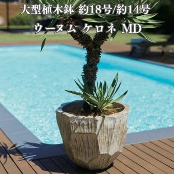 植木鉢 おしゃれ 高級 大型 18号 14号 丸 丸型 KONTON コントン ウーヌム ケロネ MD 陶器 釉薬 底穴あり 観葉植物 多肉植物 シンボルツリー 寄せ植え 特大 北欧 和モダン ナチュラル モダン 屋外 玄関 テラス ベランダ 庭