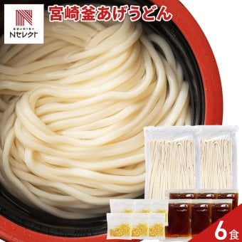 宮崎名物 釜あげうどん 6食分 つゆ 薬味付き うどん 生麺 つゆ付き 麺 郷土料理 宮崎 ポスト投函便