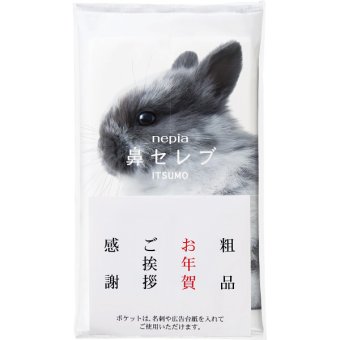【直送】ネピア 鼻セレブITSUMO [26-0575-080] PLUS 96枚 48組 保湿ティッシュ 携帯用 パルプ100％ 衛生用品 景品 粗品 プチギフト ギフト