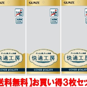 メンズ グンゼ快適工房 天引きブリーフ 綿100％ 前空き お買い得 日本製 3枚セット