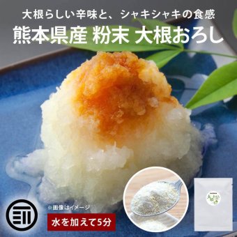 前田家 大根おろし 粉末 パウダー 熊本県産 2袋/5袋/10袋 (1袋10g 約2人分) 原材料は大根だけ 水を加えて5分 常温保存 乾燥 だいこんおろし 薬味 焼き魚 おろしそば 一人暮らし 送料無料 MAEDAYA