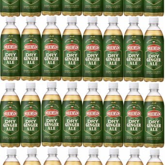 32本 アサヒ飲料 ウィルキンソン ジンジャエール（ドライ） 炭酸水 WILKINSON 500ml×32本