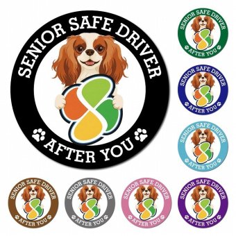カーサイン 高齢者マーク SENIOR SAFE DRIVER キャバリアキングチャールズスパニエル マグネット 強力 直径13cm 肉球 日本製 車 ステッカー