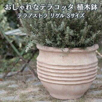 植木鉢 おしゃれ 大型 テラコッタ 素焼き アンティーク調 モカブラウン 丸型 KONTON コントン テラアストラ リゲル AS-R28X L M S 19号 14号 11号 底穴あり 屋外 テラス 庭 玄関 オリーブ ハーブ 観葉植物 多肉植物 シンボルツリー 大型プランター