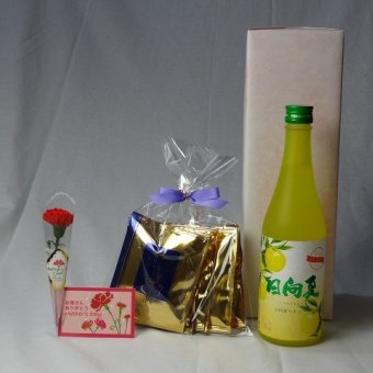 母の日 ギフトセット リキュールセット(爽やかな果肉の甘み日向夏みかんを使用 高千穂酒造 宮崎産日向夏みかん使用 日向夏 500ml(宮崎県)+挽き立て珈琲(ドリップパック5パック)) 母の日カード お母さんありがとうカーネイション付き