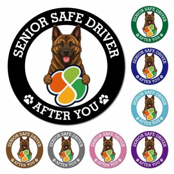 カーサイン 高齢者マーク SENIOR SAFE DRIVER 琉球犬 マグネット 強力 直径13cm 肉球 日本製 車 ステッカー