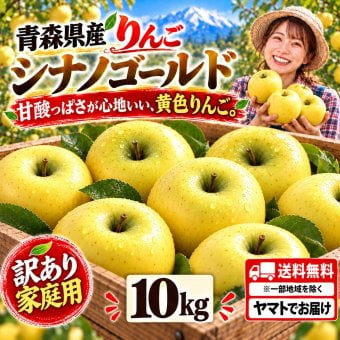 青森県産　りんご　シナノゴールド　訳あり　10kg　送料無料！