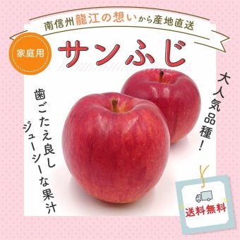 長野県産りんご サンふじ 訳あり 家庭用  長野県産 信州産 ご自宅用 果物 林檎 フルーツ お取り寄せ 産地直送 母の日 父の日 敬老の日 還暦祝い お中元 お歳暮 お祝い ギフト 贈り物 グルメプレゼント 冬ギフト クリスマスプレゼント フルーツ 無添加【送料無料(一部地域除く)】