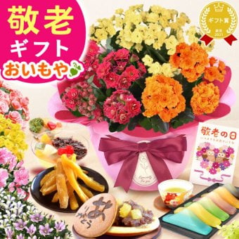 【まだ間に合う】 敬老の日 すぐ贈れるギフト 即日発送 ギフト プレゼント 花 生花 鉢植え 鉢花 カランコエ アザレア ベゴニア どら焼き スイーツ お菓子 和菓子 洋菓子 花とお菓子 60代 70代 80代 90代 おじいちゃん おばあちゃん 孫 孫から 送料無料 おいもや