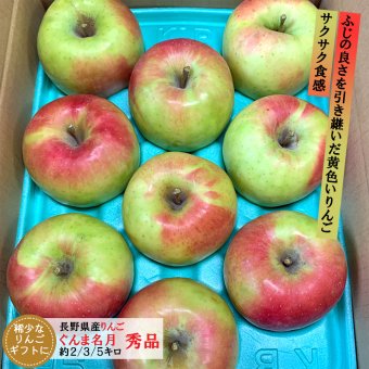 長野県産りんご ぐんま名月 秀品 ご贈答 果物 フルーツ お取り寄せ 産地直送 【送料無料(一部地域除く)】