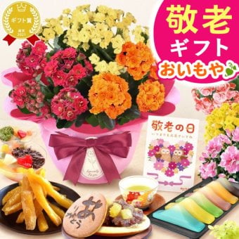 【早割 9/14 16時まで】 敬老の日 すぐ贈れるギフト 即日発送 ギフト プレゼント 花 生花 鉢植え 鉢花 カランコエ アザレア ベゴニア どら焼き スイーツ お菓子 和菓子 洋菓子 花とお菓子 60代 70代 80代 90代 おじいちゃん おばあちゃん 孫 孫から 送料無料 おいもや