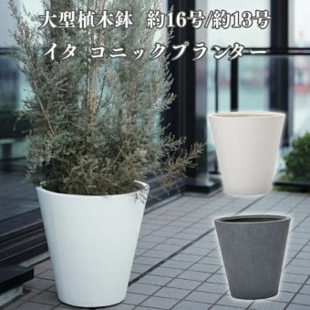 植木鉢 おしゃれ 高級 16号 13号 大型 丸型 丸 KONTON ファイバークレイ イタ コニックプランター 底穴あり 軽量 観葉植物 白 灰 ラウンド 特大 セメント グラスファイバー 多肉植物 アガベ シンボルツリー 寄せ植え 北欧 和モダン ナチュラル 屋外 玄関 テラス ベランダ