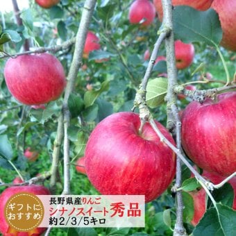 【予約】長野県産りんご シナノスイート 秀品 贈答用 果物 フルーツ お取り寄せ 産地直送 【送料無料(一部地域除く)】
