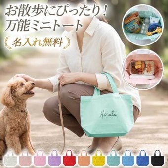トートバッグ ハンドバッグ キャンバス【ミニトートバッグ×名入れ印刷】手提げ ミニバッグ 小さめ シンプル 大容量 おしゃれ レディース トート 布製 布 帆布 無地 軽量 ギフト 名入れ無料 メール便送料無料 受注生産【印刷】