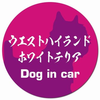 Dog in car ウエストハイランドホワイトテリア 毛筆書体 ピンクパープル カーサイン 車 マグネットステッカー 犬 マグネット 強力 直径13cm 丸型 おしゃれ かわいい ドラレコステッカー 安全対策 危険運転 煽り運転 アニマル 動物 犬種別 屋外 防水 屋内