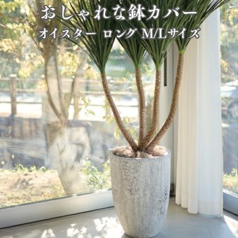 鉢カバー おしゃれ 大型 17号 13号 丸型 オイスター ロング M L サイズ 高級 北欧 室内 屋内 観葉植物用 サボテン 特大 玄関 インテリア プランター 深型
