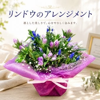 リンドウ りんどう 竜胆花 秋  アレンジメント アレンジ ラッピング無料 お祝い 誕生日 開業祝い 移転祝い 昇進 就任 還暦 フラワーギフト プレゼント お花のプレゼント