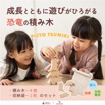 【名入れ】【かたち積み木】【出産祝い】【1歳誕生日プレゼント】【恐竜（ティラノサウルス・ステゴサウルス・トリケラトプス・ブロントサウルス）】【4個セット】木のおもちゃ/木製玩具/無塗装/ごっこあそび/収納袋入り/赤ちゃん/男の子/女の子 『ブロットプロジェクト|PICTO TSUMIKI - The Jurassic』
