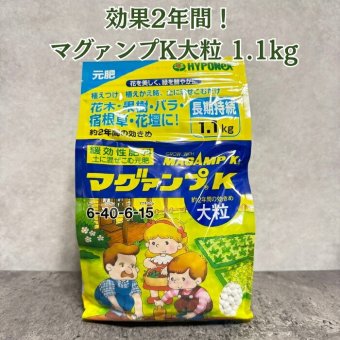 マグァンプK 大粒 1.1kg ハイポネックス 肥料 元肥 緩効性 土に混ぜこむだけ 約2年間効く 花木 果樹 バラ 宿根草 花壇 観葉植物 鉢植え 庭木 山野草 リンサン 植え付け 植え替え 園芸 ガーデニング マグアンプ