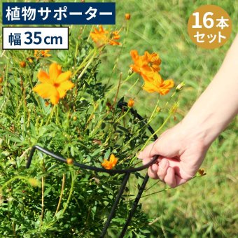 アイアン製植物サポーター 幅35 16本セット IF-N0048-16P奥行18 高さ65 ハーフリング 倒れ防止 広がり抑制 スチール 鉄製 支柱 園芸 植物サポート フラワーサポート 菜園 花壇
