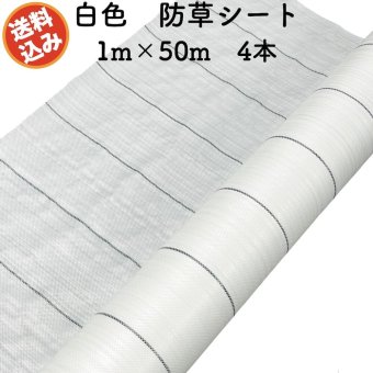 防草シート 白色（サンホワイト） 1m×50m 4本セット 抗菌剤入り UV剤入り  反射シート 草抑え 除草シート 雑草防止シート 雑草対策 農業資材 太陽光 環境制御 防ぐ 作物 野菜 果物 畑 農業 農園 農家 園芸 マルチング 温度抑制