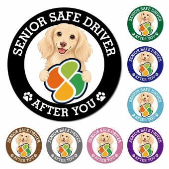 カーサイン 高齢者マーク SENIOR SAFE DRIVER カニンヘンダックスフンド マグネット 強力 直径13cm 肉球 日本製 車 ステッカー