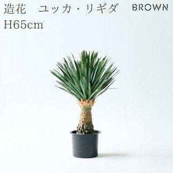 観葉植物 造花 ユッカ・リギダ BROWN 全高約65cm 卓上 多肉植物 フェイクグリーン 高級 本物そっくり リアル おしゃれ インテリア 人工観葉植物 アーティフィシャルグリーン ドライガーデン モダン オフィス 店舗 開店祝い 室内 リビング 玄関 風水 フェイク