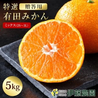 みかん 5kg 贈答用 秀品 特選 送料無料 和歌山 S～２L 混合 伊藤農園 小玉 大玉 中玉 手詰め 有田みかん 温州みかん 早生 約35～60個 ご当地 果物 柑橘出産内祝い 贈答 ギフト 誕生日 結婚祝い 出産祝い 内祝い ギフト