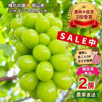 岡山県産 ぶどう シャインマスカット 300g2房 贈答用秀品 国産 フルーツ