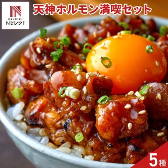 博多 鉄板焼天神ホルモン おかずホルモン2種 もつ鍋セット 牛ホルモン 冷凍 もつ鍋 調味料 おつまみ おかず