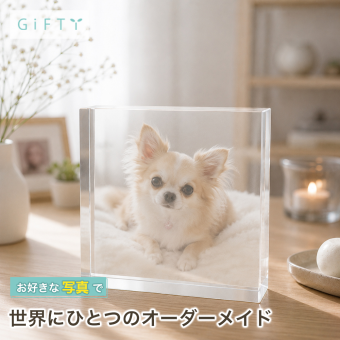 チワワ ガラスブロック 愛犬 ダックスフンド うちの子 名入れ 愛犬家 オーダーメイド ペット写真 置き物 メモリアルフォトフレーム 小型犬 クリスタル うちの子記念日 記念品 コーギー 写真立て 犬 ペット メモリアルグッズ プレゼント ディスプレイ ペットグッズ おしゃれ ペットロス オリジナル メモリアル 写真 サプライズ 飼い主 高級 ギフト 誕生日 肉球 写真入り ポメラニアン【c01】