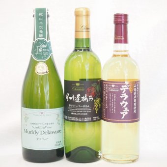 果物ワイン3本セット(甲州遅摘む白ワイン甘口(山梨) 山梨県産デラウェア スパークリングワイン 山梨県産葡萄使用デラウェア白ワイン) 720ml×3本