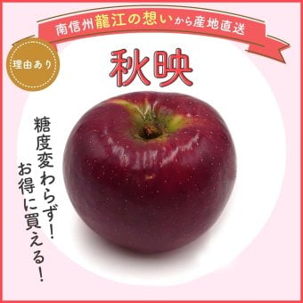 【予約】長野県産りんご 秋映 訳あり ご自宅用 果物 フルーツ お取り寄せ 産地直送 【送料無料(一部地域除く)】