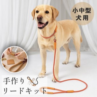 犬用リード 手作りキット 本革 ロープ レザークラフト DIY ハンドメイド 初心者 手縫い 約2時間 完成 お散歩 愛犬 ギフト 小型犬 中型犬 経年変化 実用的 オリジナル 贈り物 記念 7F (09000727r)