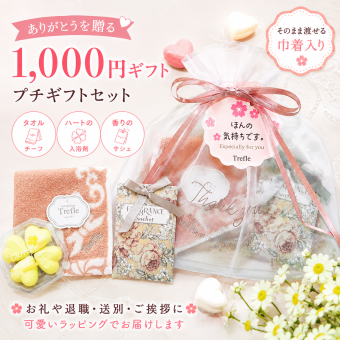 プチギフト 女性 1000円 ギフトセット おしゃれ タオルハンカチ 入浴剤 サシェ プレゼント 誕生日 退職 お礼 お返し 送別会 転勤 異動 引っ越し 挨拶 職場 女友達 先生 先輩 同僚 感謝 ありがとう ちょっとしたプレゼント 大人 可愛い ラッピング 送料無料 このまま渡せる