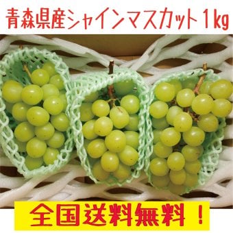 青森県産　シャインマスカット　訳あり　2-4房　１ｋｇ　送料無料！