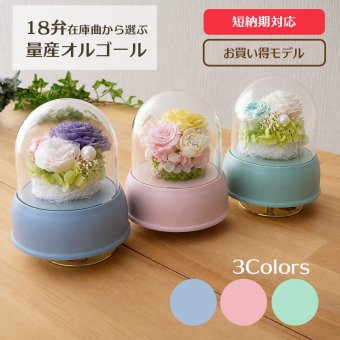 【1～2営業日内に発送】18弁量産オルゴール・フラワードームカップ・在庫曲から選ぶ・オルゴール・プリザーブドフラワー・仏花・お供え・お仏壇・誕生日・母の日・父の日・入園・入学・卒園・卒業・プレゼント・結婚・両親・出産・還暦・退職・ジブリ・ディズニー・無料ラッピング